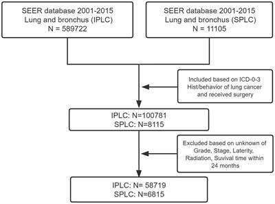 Postoperative radiotherapy might be a risk factor for second primary lung cancer: A population-based study